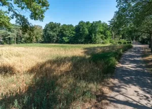 Bouwgrond De Buytencamp